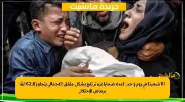 61 شهيدًا في يوم واحد.. أعداد ضحايا غزة ترتفع بشكل مقلق الإجمالي يتجاوز الـ62 ألفًا برصاص الاحتلال 2